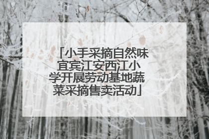 小手采摘自然味 宜宾江安西江小学开展劳动基地蔬菜采摘售卖活动