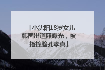 小沈阳18岁女儿韩国出道照曝光，被指撞脸孔孝真