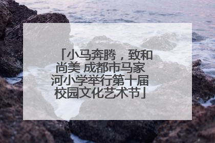 小马奔腾，致和尚美 成都市马家河小学举行第十届校园文化艺术节