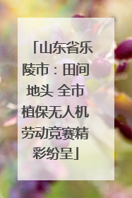 山东省乐陵市：田间地头 全市植保无人机劳动竞赛精彩纷呈