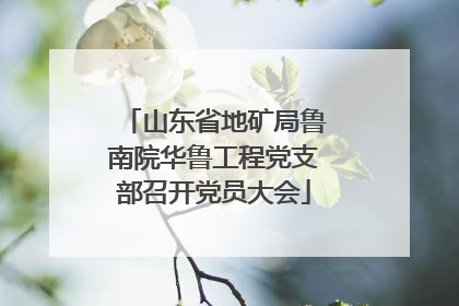 山东省地矿局鲁南院华鲁工程党支部召开党员大会