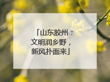 山东胶州：文明润乡野，新风扑面来