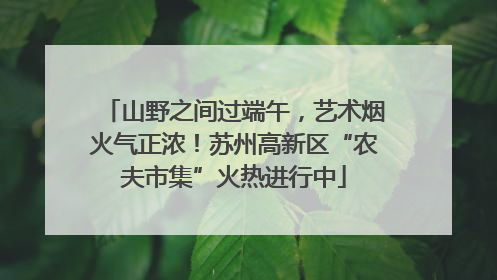 山野之间过端午，艺术烟火气正浓！苏州高新区“农夫市集”火热进行中