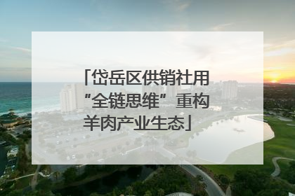 岱岳区供销社用“全链思维”重构羊肉产业生态