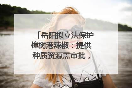 岳阳拟立法保护樟树港辣椒：提供种质资源需审批，违规最高罚5万