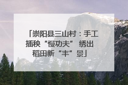 崇阳县三山村：手工插秧“慢功夫” 绣出稻田新“丰”景