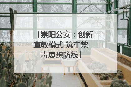 崇阳公安：创新宣教模式 筑牢禁毒思想防线