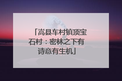 嵩县车村镇顶宝石村：密林之下有诗意有生机