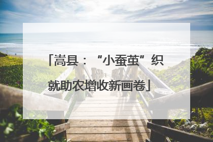 嵩县：“小蚕茧”织就助农增收新画卷