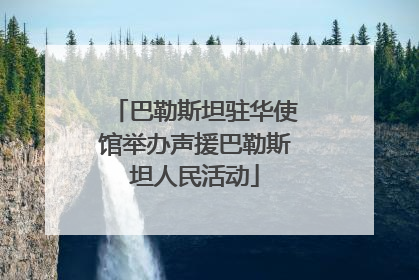 巴勒斯坦驻华使馆举办声援巴勒斯坦人民活动
