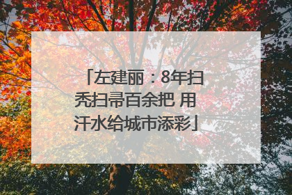 左建丽：8年扫秃扫帚百余把 用汗水给城市添彩