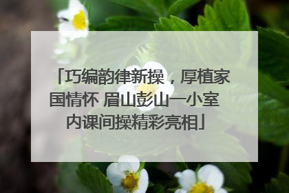巧编韵律新操，厚植家国情怀 眉山彭山一小室内课间操精彩亮相