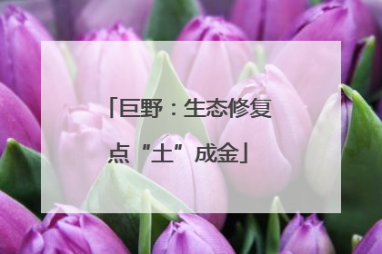 巨野：生态修复点“土”成金