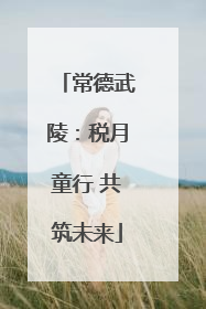 常德武陵：税月童行 共筑未来