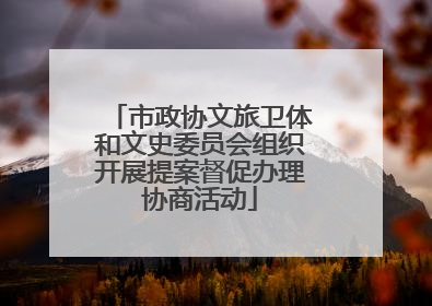 市政协文旅卫体和文史委员会组织开展提案督促办理协商活动