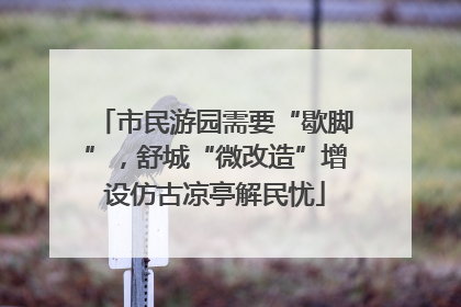 市民游园需要“歇脚”，舒城“微改造”增设仿古凉亭解民忧