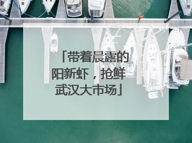 带着晨露的阳新虾，抢鲜武汉大市场