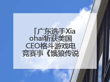 广东选手Xiaohai斩获美国CEO格斗游戏电竞赛事《饿狼传说》项目冠军