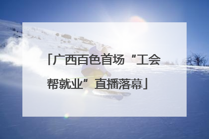 广西百色首场“工会帮就业”直播落幕
