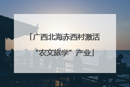 广西北海赤西村激活“农文旅学”产业