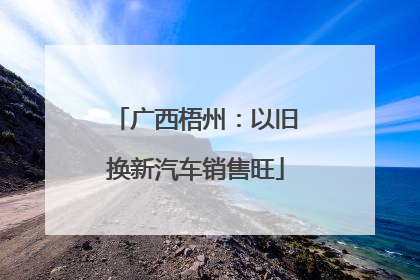 广西梧州：以旧换新汽车销售旺