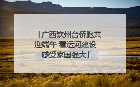 广西钦州台侨胞共迎端午 看运河建设感受家国强大