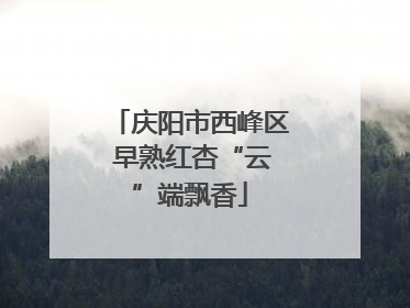 庆阳市西峰区 早熟红杏“云”端飘香