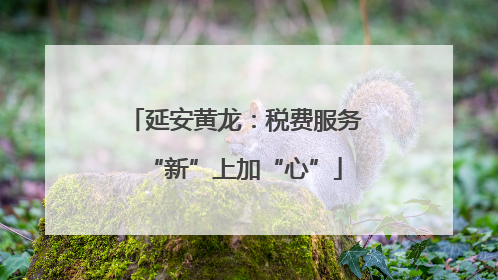 延安黄龙：税费服务“新”上加“心”