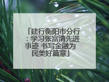 建行衡阳市分行：学习张富清先进事迹 书写金融为民美好篇章