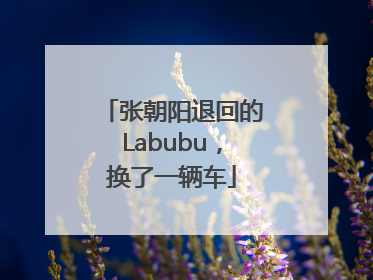 张朝阳退回的Labubu，换了一辆车