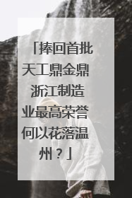 捧回首批天工鼎金鼎 浙江制造业最高荣誉何以花落温州？