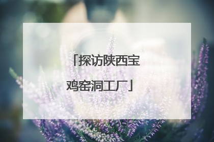 探访陕西宝鸡窑洞工厂