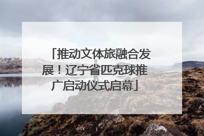 推动文体旅融合发展！辽宁省匹克球推广启动仪式启幕
