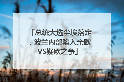 总统大选尘埃落定，波兰内部陷入亲欧VS疑欧之争