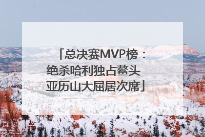 总决赛MVP榜：绝杀哈利独占鳌头 亚历山大屈居次席