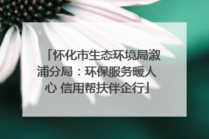 怀化市生态环境局溆浦分局：环保服务暖人心 信用帮扶伴企行