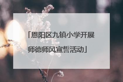 恩阳区九镇小学开展师德师风宣誓活动