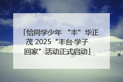 恰同学少年 “丰”华正茂 2025“丰台·学子回家”活动正式启动