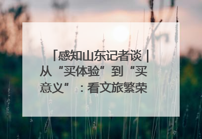 感知山东记者谈｜从“买体验”到“买意义”：看文旅繁荣背后的幸福新定义