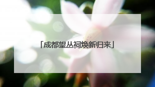 成都望丛祠焕新归来