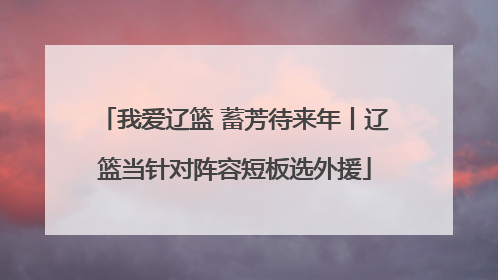 我爱辽篮 蓄芳待来年丨辽篮当针对阵容短板选外援