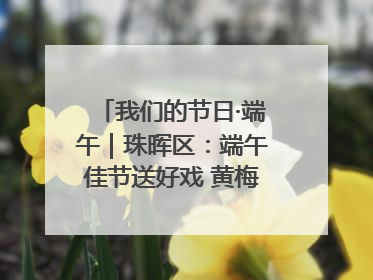 我们的节日·端午｜珠晖区：端午佳节送好戏 黄梅声韵润民心