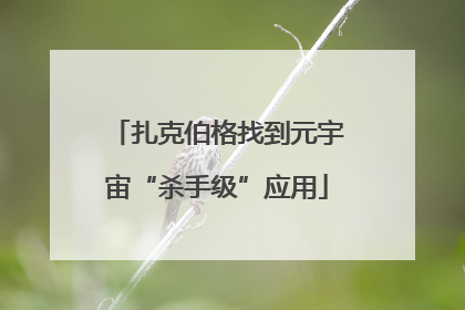 扎克伯格找到元宇宙“杀手级”应用