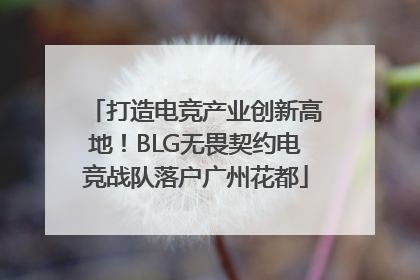 打造电竞产业创新高地！BLG无畏契约电竞战队落户广州花都
