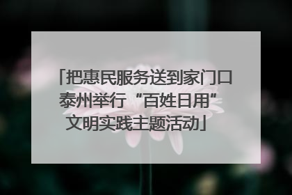把惠民服务送到家门口 泰州举行“百姓日用”文明实践主题活动