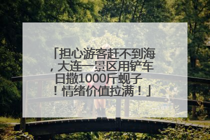 担心游客赶不到海，大连一景区用铲车日撒1000斤蚬子！情绪价值拉满！