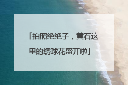 拍照绝绝子，黄石这里的绣球花盛开啦