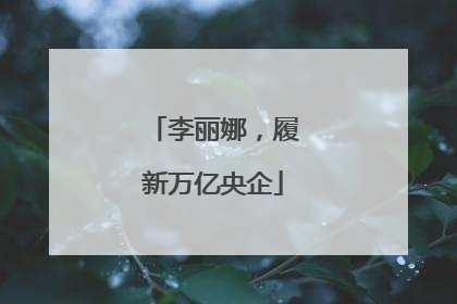 李丽娜，履新万亿央企