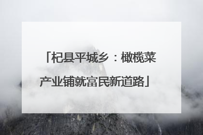 杞县平城乡：橄榄菜产业铺就富民新道路