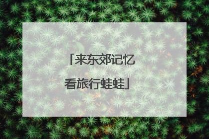 来东郊记忆 看旅行蛙蛙